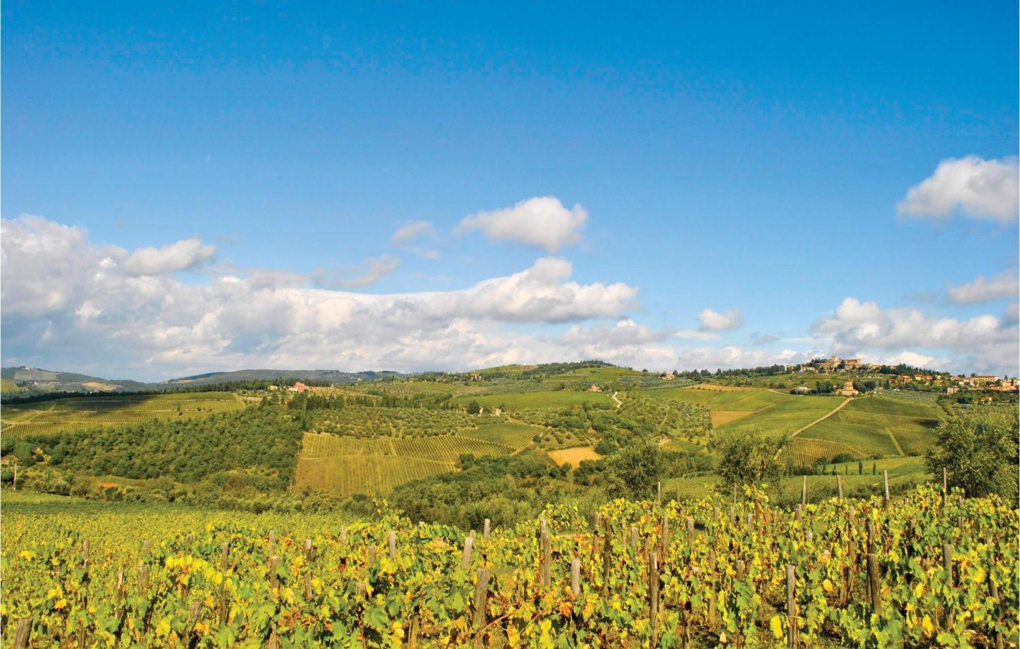 Ferienwohnung Dahlia Lucolena in Chianti Exterior foto